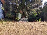 Terreno em Amparo