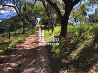 SITIO  - EM AMPARO