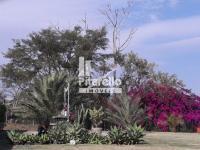 Casa - Cond Alto Padrão