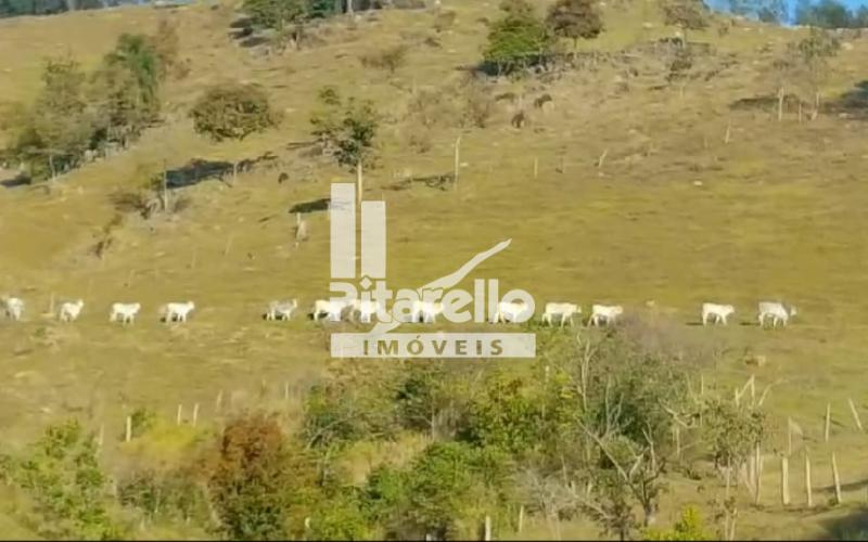 Belíssimo Sitio à venda