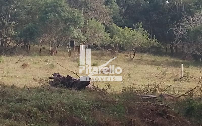 Área em Pedreira-SP