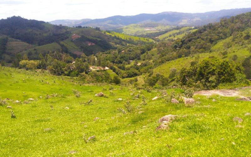 Belíssimo Sitio à venda 