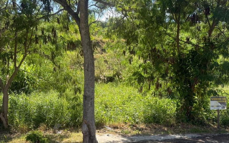 Terreno no Manacas